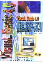 Visual Basic 4.0 for Windows编程指南与实例   1997  PDF电子版封面  7560509010  袁清珂主编 