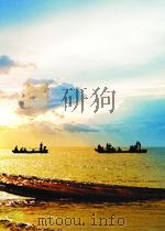 中国的奇迹：发展战略与经济改革   1994  PDF电子版封面    林毅夫 