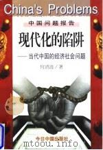 中国问题报告现代化的陷阱——当代中国的经济社会问题     PDF电子版封面     