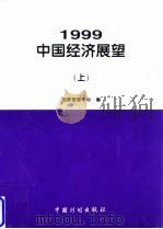 1999年中国经济展望  上（1998 PDF版）