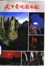 天下奇观数石林（1992 PDF版）