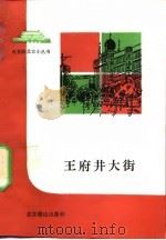 王府井大街   1991  PDF电子版封面  7540204028  孙伦振，李洁如 