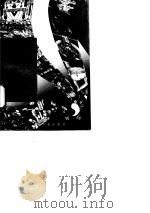 石与石神   1994年07月第1版  PDF电子版封面    刘锡诚   宋兆麟  马昌仪 