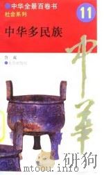 中华全景百卷书-社会系列-中华多民族  11（ PDF版）