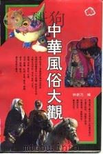 中华风俗大观（1991 PDF版）