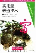 实用鳖养殖技术   1994  PDF电子版封面  7806090436  王晓清，肖克宇编著 