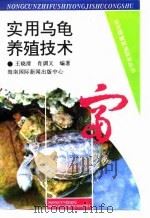 实用乌龟养殖技术   1994  PDF电子版封面    王晓清，肖调义 