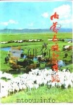 内蒙古统计年鉴  1991（1991 PDF版）