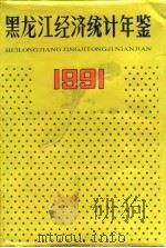 黑龙江经济统计年鉴  1991   1991  PDF电子版封面  7503706295  黑龙江省统计局编 