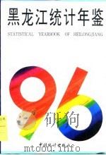 黑龙江经济统计年鉴  1997   1996  PDF电子版封面  7503721103  黑龙江省统计局 