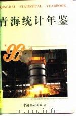 青海省统计年鉴  1996（1996 PDF版）