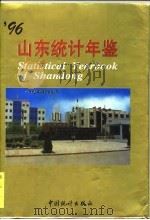 山东统计年鉴  1996（1996 PDF版）