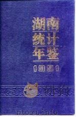湖南统计年鉴  1991（1991 PDF版）