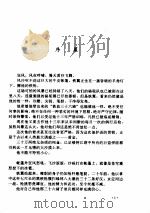 大地飞鹰   1995  PDF电子版封面  7806070613  古龙著 