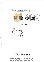 神秘少年     PDF电子版封面    赵虔 