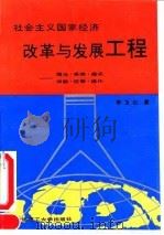 社会主义国家经济改革与发展工程  理论、系统、模式、功能、控制、操作   1992  PDF电子版封面  7561105797  李玉山著 