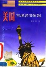 美国市场经济体制   1994.03  PDF电子版封面  7311006902  林珏主编 