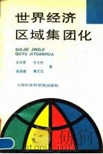 世界经济区域集团化   1994  PDF电子版封面  7805159858  王曰庠等著 