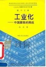 工业化-中国面临的挑战   1993  PDF电子版封面  7300017274  陈淮著 