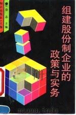 组建股份制企业的政策与实务   1993  PDF电子版封面  7501555451  金志主编 