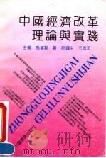 中国经济改革理论与实践（1992 PDF版）