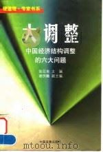 大调整  中国经济结构调整的六大问题   1998  PDF电子版封面  7800872882  陆百甫主编 
