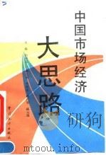 中国市场经济大思路   1993  PDF电子版封面  7503710845  杨启先主编 