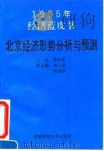 1994-1995年北京经济形势分析与预测（1995 PDF版）