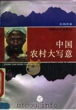 中国农村大写意（1993 PDF版）