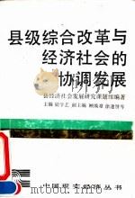 县级综合改革与经济社会的协调发展   1993  PDF电子版封面  7500413343  陆学艺主编；县经济社会发展研究课题组编著 