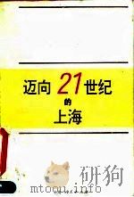 迈向21世纪的上海  1996-2010年上海经济、社会发展战略研究   1995  PDF电子版封面  7208019576  上海市《迈向21世纪的上海》课题领导小组编 