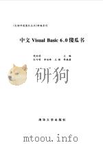 中文 Visual Basic 6.0傻瓜书   1999  PDF电子版封面  7302034109  钱培德 