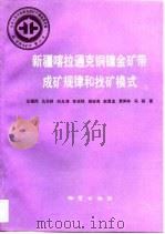 中华人民共和国地质矿产部地质专报  4  矿床与矿产  第23号  新疆喀拉通克铜镍金矿带成矿规律和找矿模式   1992  PDF电子版封面  7116011234  王福同等著 