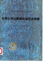 云南小凉山彝族社会历史调查（1984 PDF版）