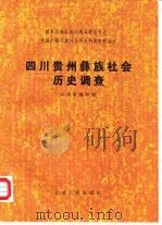 四川贵州彝族社会历史调查（1987 PDF版）