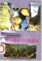 漾濞彝族自治县概况（1992 PDF版）