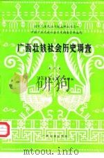 广西壮族社会历史调查  第6册   1985  PDF电子版封面  11138.37  广西壮族自治区编辑组 