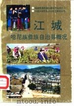 江城哈尼族彝族自治县概况（1992 PDF版）