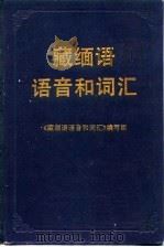 藏缅语语音和词汇   1991  PDF电子版封面  7500407971  《藏缅语语音和词汇》编写组编著 