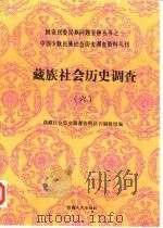 藏族社会历史调查  6   1991  PDF电子版封面  7223002794  西藏社会历史调查资料丛刊编辑组编 