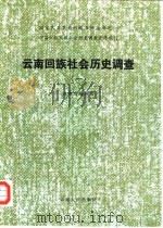 云南回族社会历史调查（一）   1985年08月第1版  PDF电子版封面    云南省编辑组 