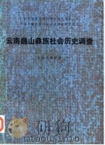 云南巍山彝族社会历史调查   1986  PDF电子版封面  11116·163  国家民委《民族问题五种丛书》云南省编辑组编 