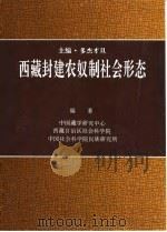 西藏封建农奴制社会形态   1996  PDF电子版封面  7800572293  多杰才旦主编 