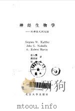 神经生物学  从神经元到大脑   1991  PDF电子版封面  7301014848  （美）StaphenW·Kuffler，etal张人骥潘其丽 