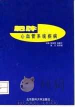 肥胖与心血管系统疾病   1999  PDF电子版封面  7810349635  朱智明等主编 