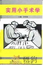 实用小手术学（1999 PDF版）