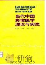 当代中国影像医学理论与实践（1996 PDF版）