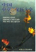 中国中草药配伍大全   1993  PDF电子版封面  7204023668  王文安编著 