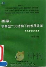 西藏  非典型二元结构下的发展改革  新视角讨论与报告   1991  PDF电子版封面  7800570592  孙勇主编 