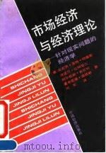 市场经济与经济理论  针对现实问题的经济学   1993  PDF电子版封面  7501723036  （德）哈尔德斯等著；刘军译 